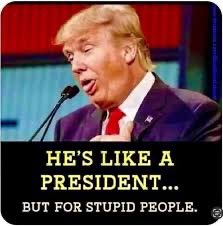 🦋𝖦𝖾𝗈𝗋𝗀𝗂𝖺𝖱𝖾𝗌𝗂𝗌𝗍𝖾𝗋🏳️‍🌈#8647 tweet media