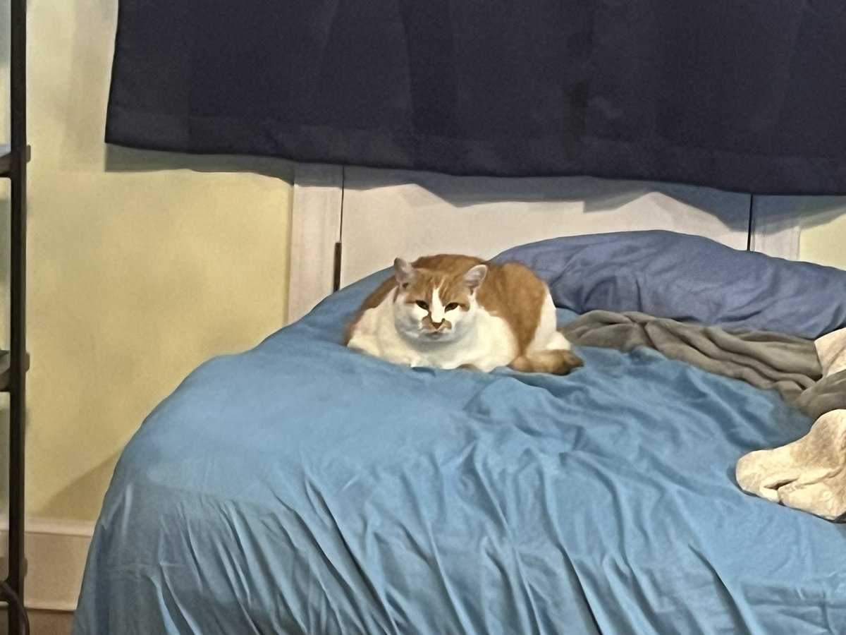 Woah! Mungus tweet media