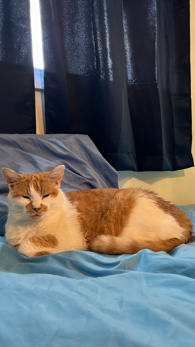 Woah! Mungus tweet media