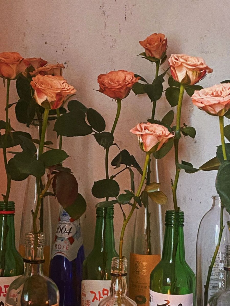 Barbara King tweet media