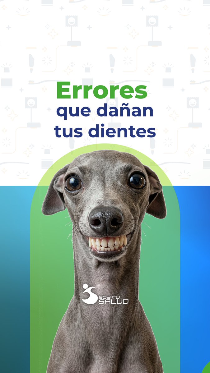 soytusalud's tweet photo. Tu sonrisa también es parte de tu salud. 😁✨
Cuídala a tiempo. 

Agenda tu valoración dental. 🦷🪥
#SoyTuSalud #SaludDental https://t.co/QtoGYKvMAU