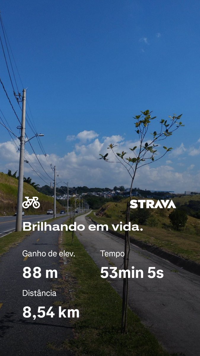 LÍRIO ♡ tweet media