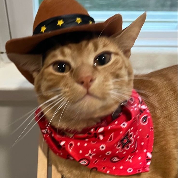 loh ENHYPEN IS 7. tweet media