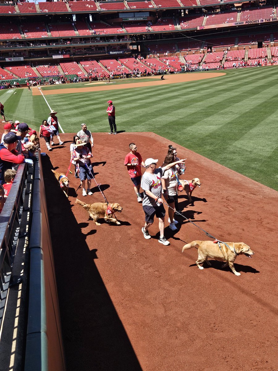 My favorite day at the ballpark 
🐾⚾❤️ #stlcards