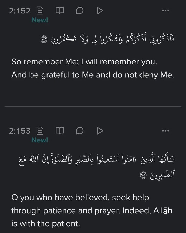 MuslimMatters tweet media