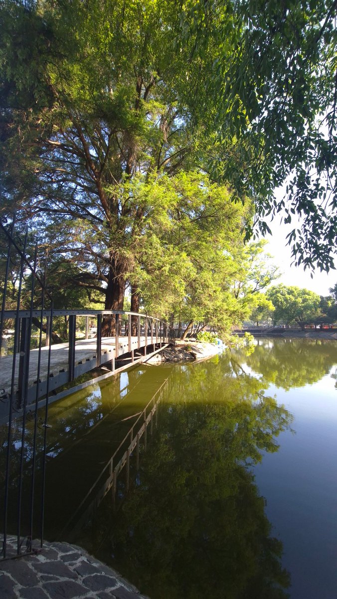 efrencasas's tweet image. #SaturdayMotivation #SaturdayVibes #running #nikerunning #yoelegicorrer #fitover61 #corrersana #laufen #RunDay #Chapultepec #CDMX #esdecorredores