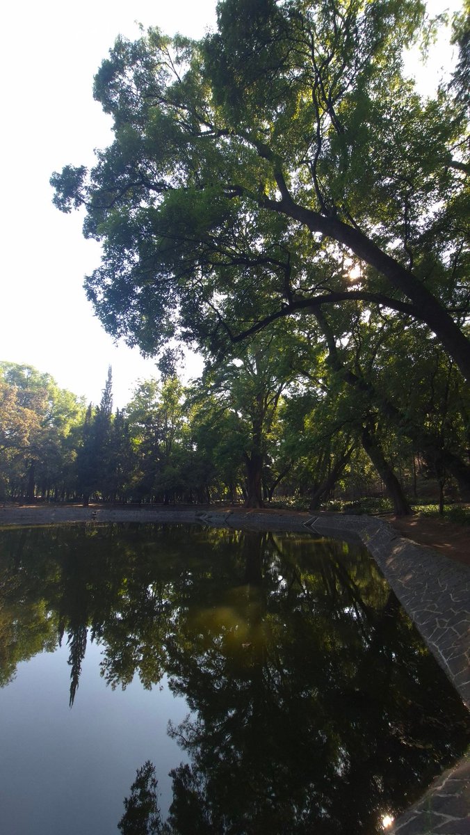 efrencasas's tweet image. #SaturdayMotivation #SaturdayVibes #running #nikerunning #yoelegicorrer #fitover61 #corrersana #laufen #RunDay #Chapultepec #CDMX #esdecorredores