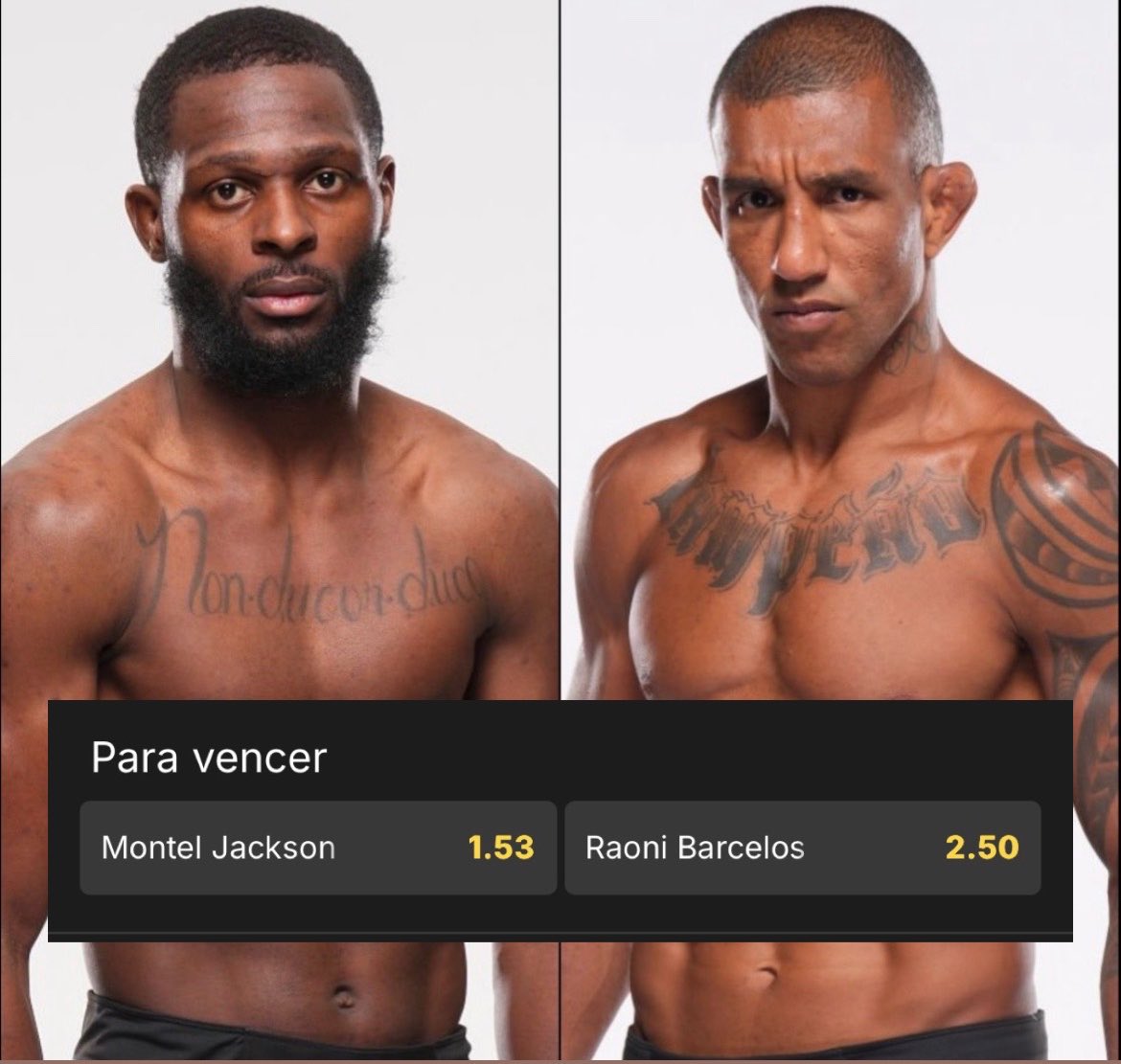 José Louis tweet media