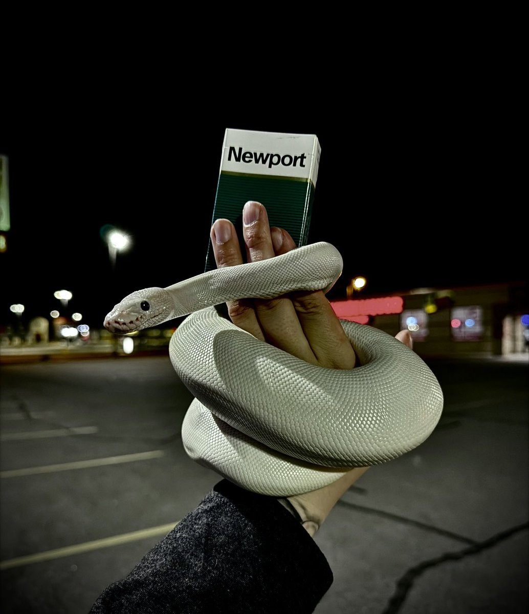 LalkatheDoll tweet media