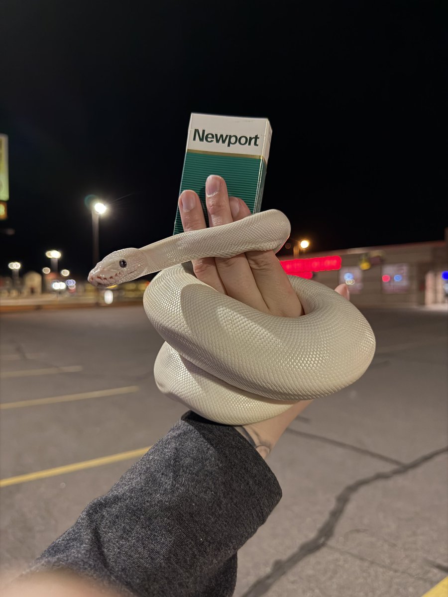 LalkatheDoll tweet media