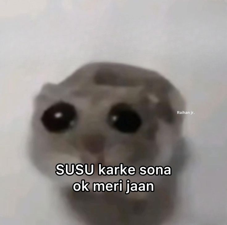 sugarrr🎀 tweet media