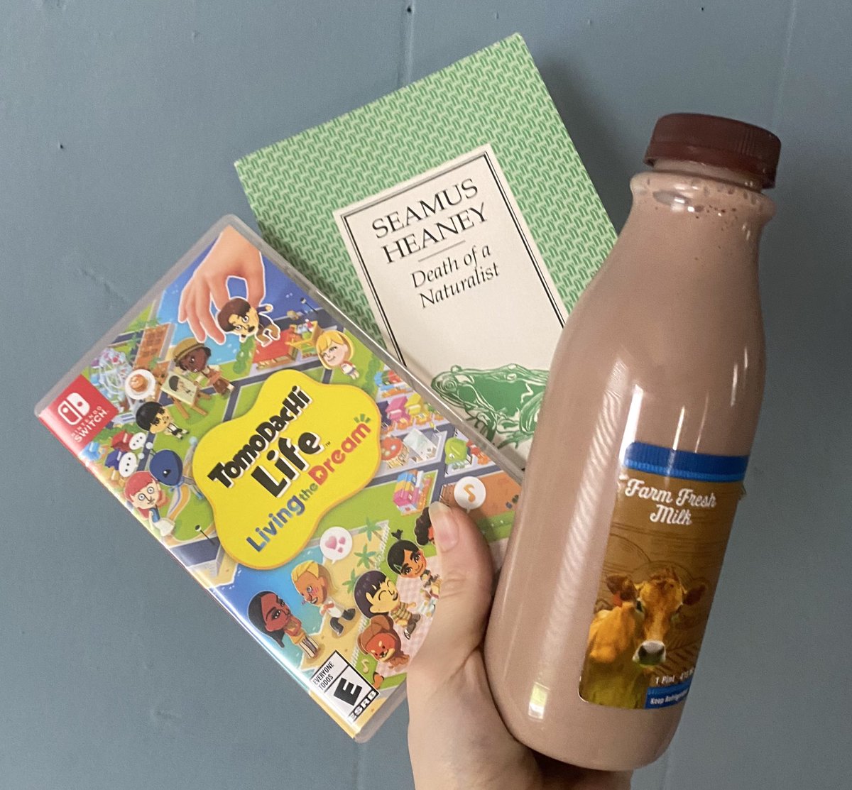 NEVER GIVE UP ON YOUR DREAMS