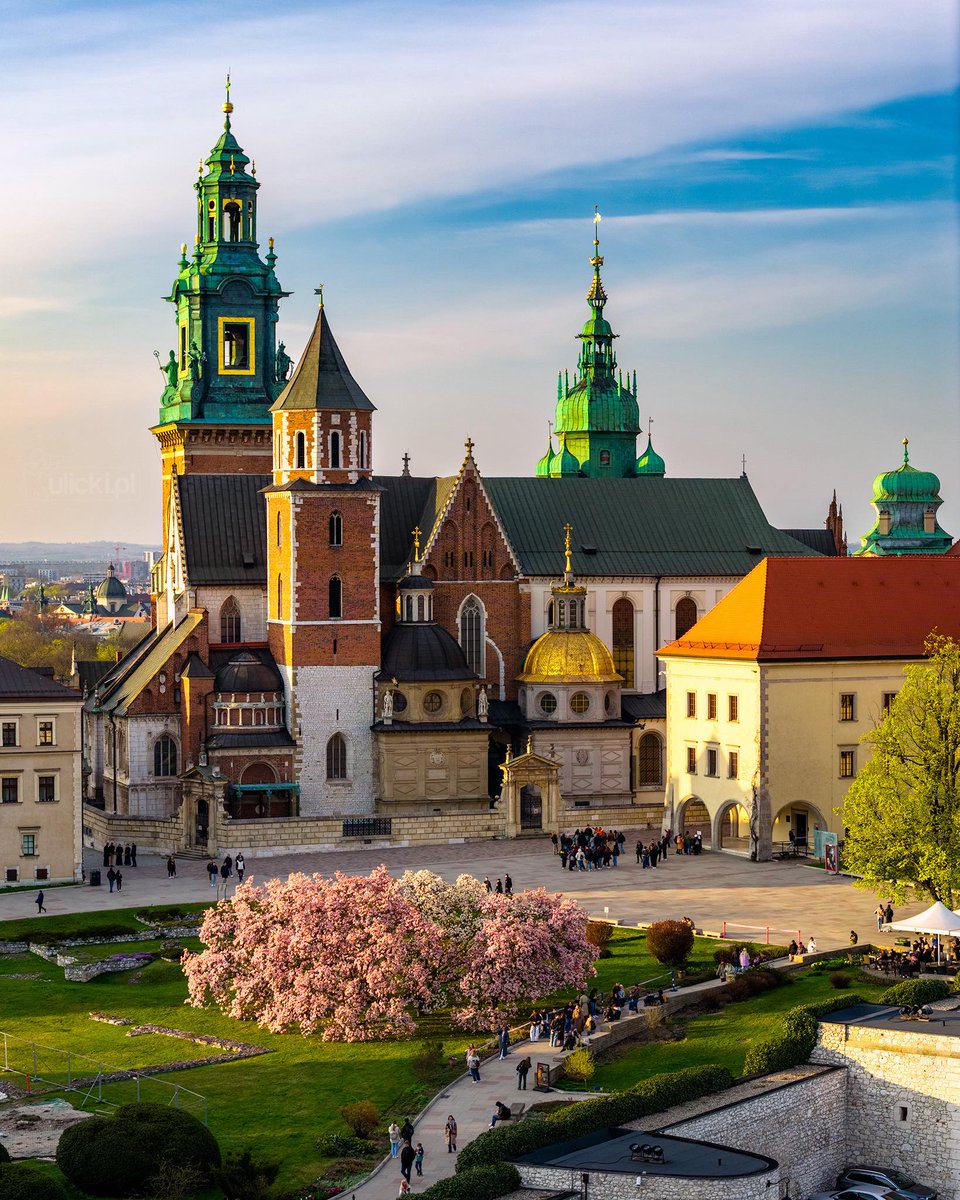 Kraków tweet media