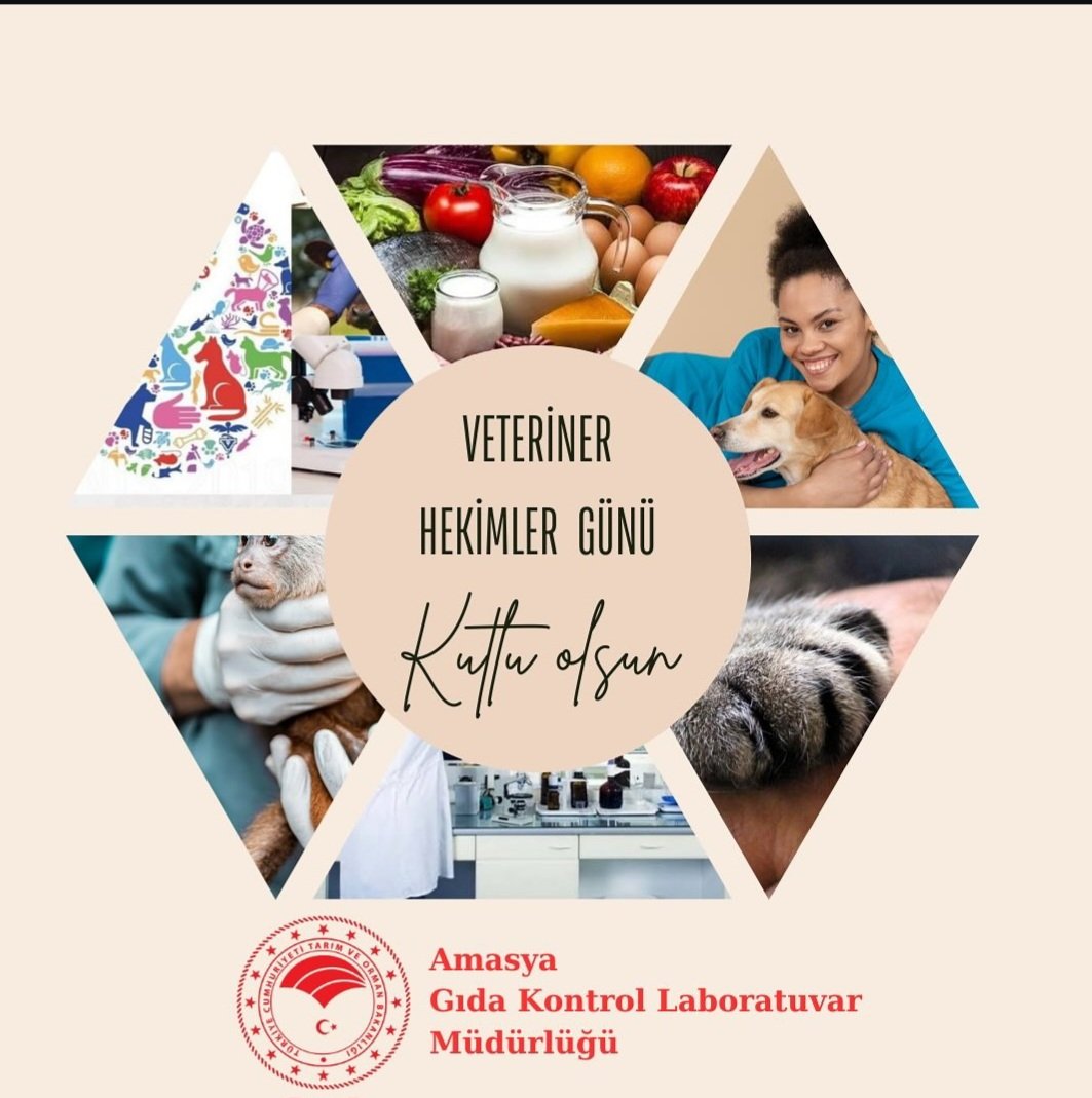 amasyagidalab's tweet photo. Hayvan ve halk sağlığının korunması, gıda üretimi ve güvenliğinin sürdürülebilirliği için büyük bir özveri ile ülkesine hizmet eden başta mesai arkadaşlarımız olmak üzere tüm veteriner hekimlerimizin günü kutlu olsun. @TCTarim  @GidaveKontrolGM @tarimormanpgm @ikaya05 https://t.co/EhBnFkrM3H
