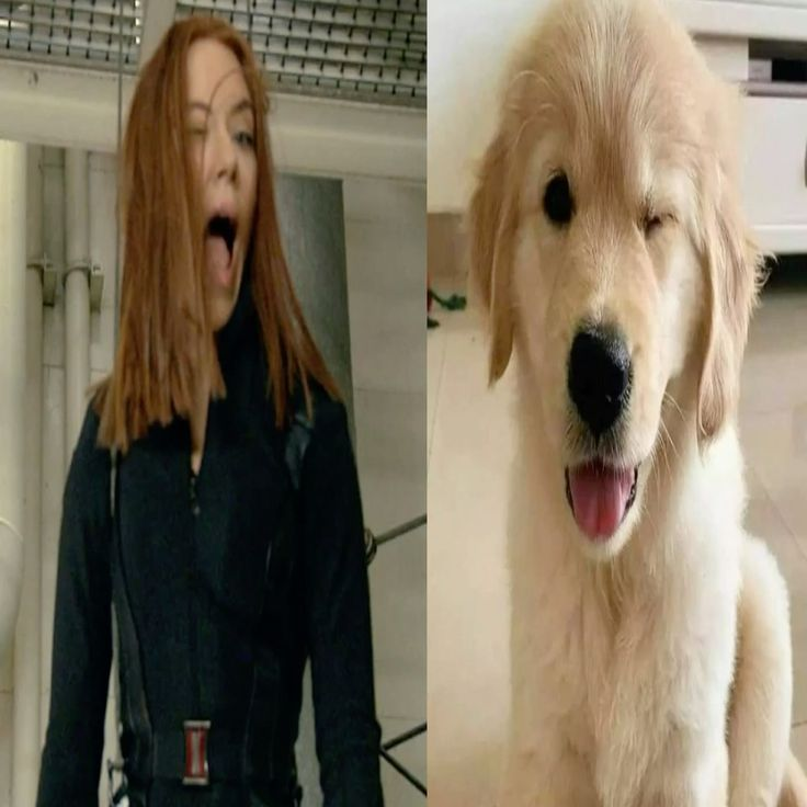 nia✩‧₊˚ tweet media