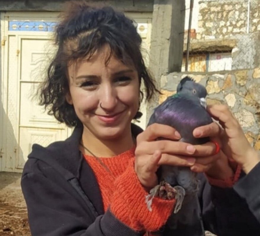 Deniz Ezda tweet media