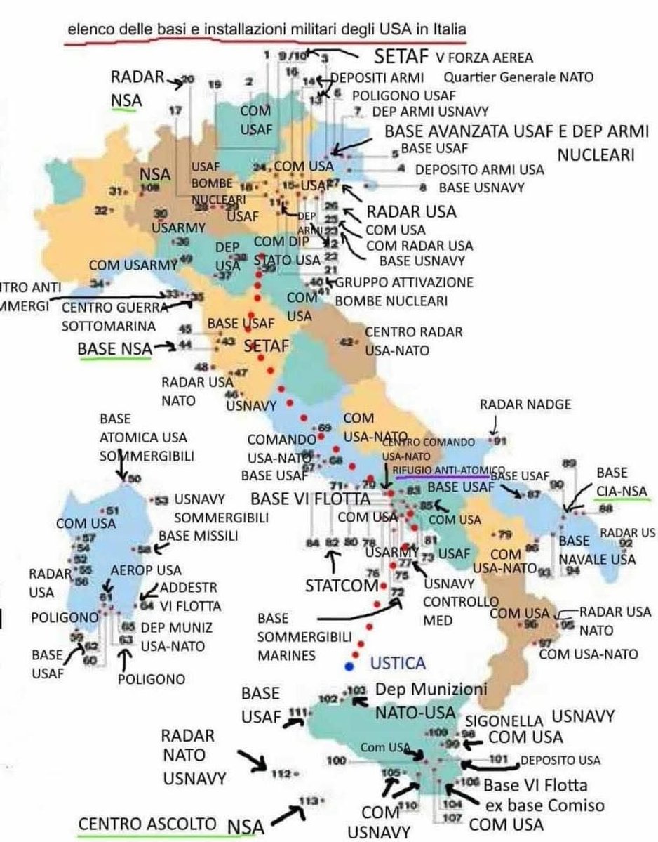 DonnaChiara 🫧🪬🐸 tweet media