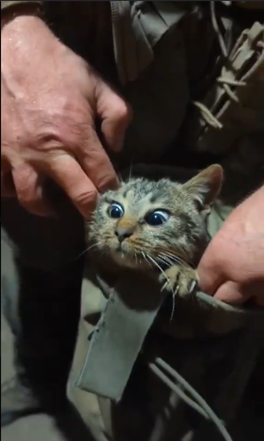 USERGORE tweet media