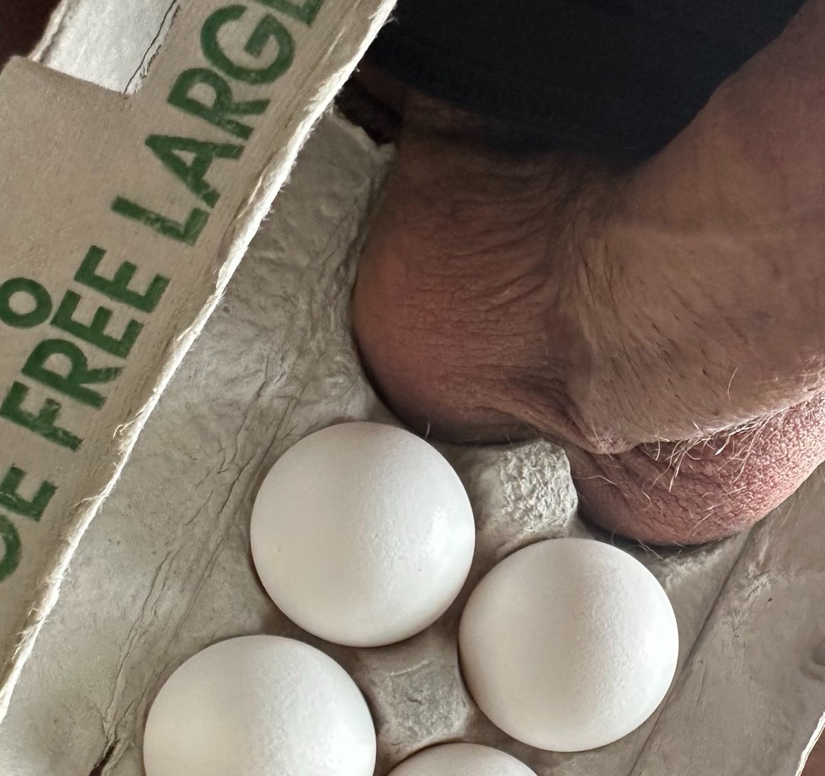 Jay 🔜 FWA tweet media