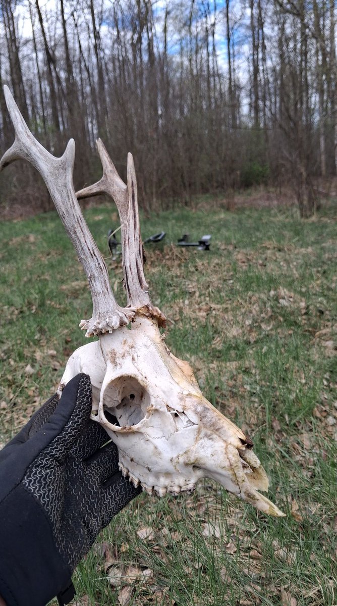 _Treasure_Kings's tweet image. Even these finds happen… by Semion Semmi
#metaldetecting #find