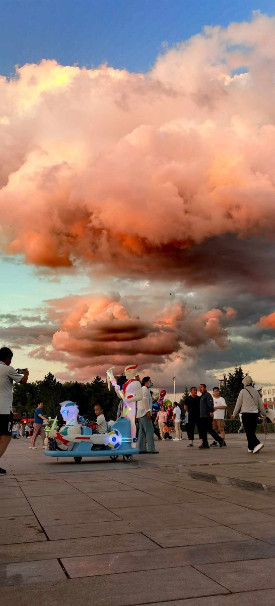 nielpacz tweet media