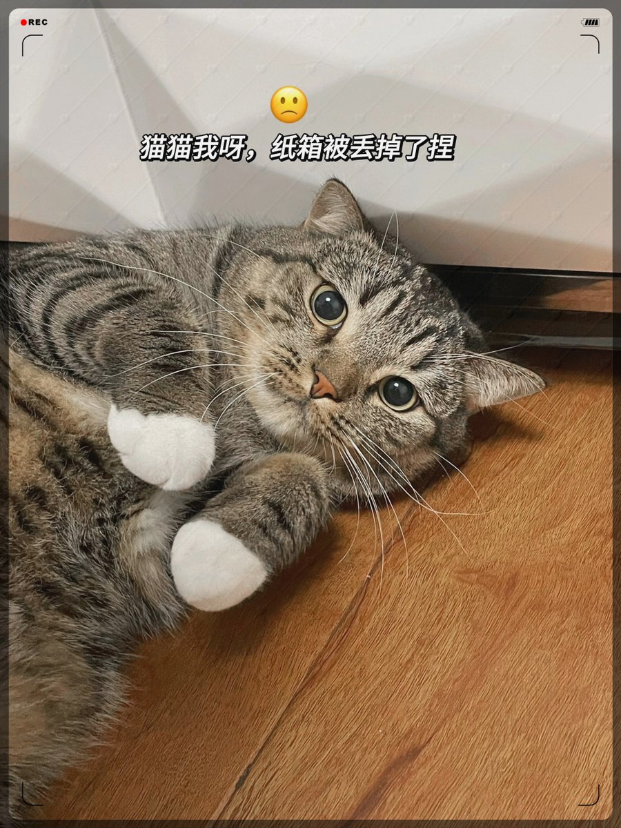 basirwaruling tweet media