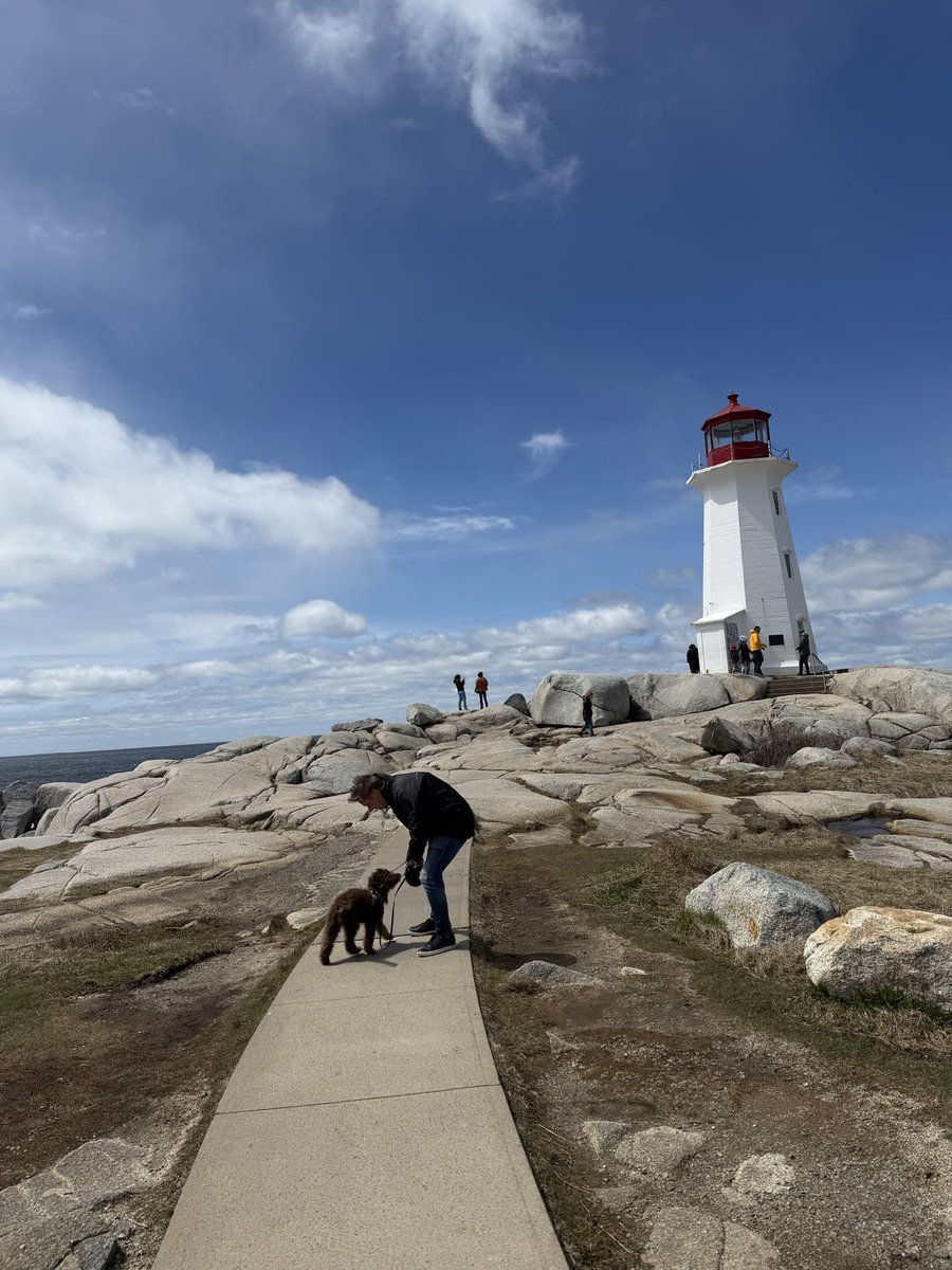 MikeShoreman's tweet photo. Busy week next week out here, but we made it out to Atlantic Canada and this weekend have some downtime so I took my pup to see the ocean for the first time. https://t.co/w8Jhoathtb