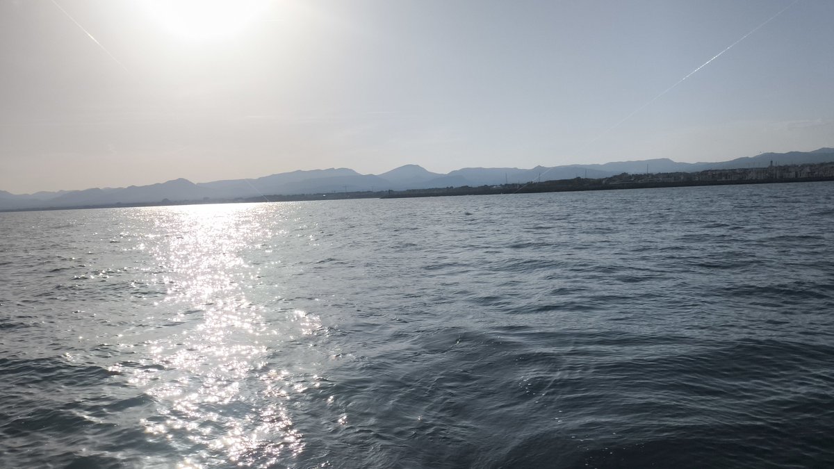 pol olivet | tweet media