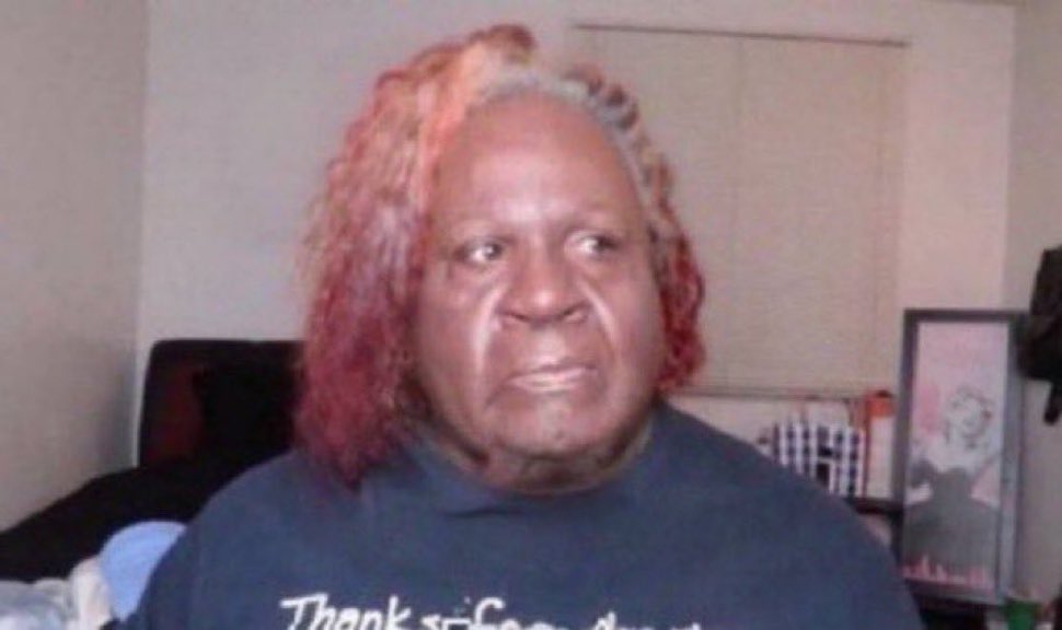 codey ✟ 🪉 tweet media