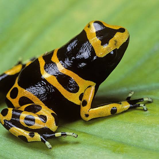 💮Hakan.❄️.Ryusei💮 tweet media