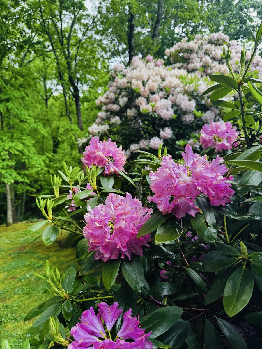 Clay Fuller tweet media