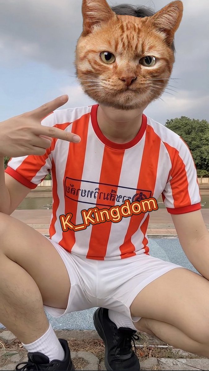 K_Kingdom tweet media