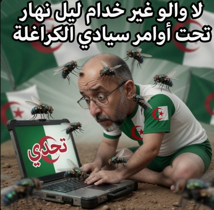 Talbi ghazi Ghazi tweet media