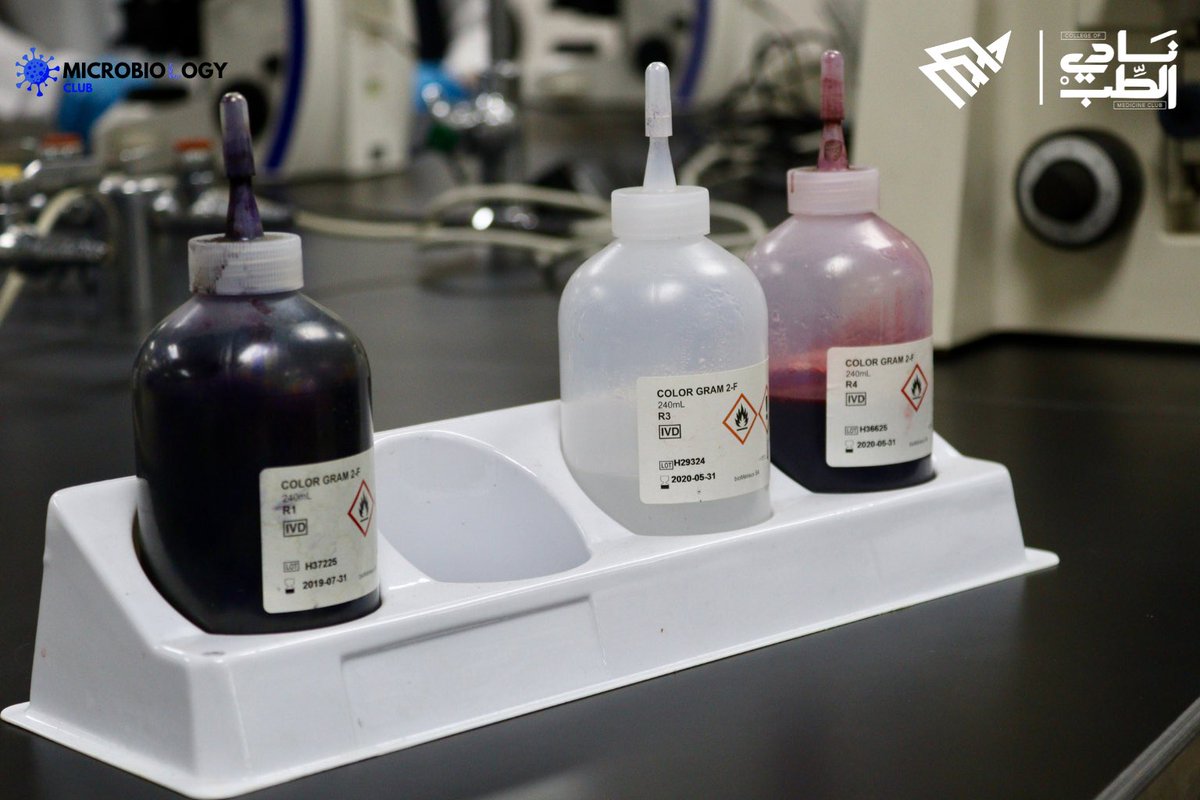 MicroClubIAU's tweet photo. لقطات من ورشة عمل (Gram Staining) 🧫🔬

تعرّف المشاركون على خطوات صبغة غرام وطبّقوها عمليًا، لاكتشاف الفروقات بين أنواع البكتيريا بطريقة واضحة وممتعة داخل المختبر.

شكرًا لكل من كان جزءًا من هذه التجربة،
ونراكم في ورشة الاسبوع الجاي! 🧬 https://t.co/h8gxennBFe