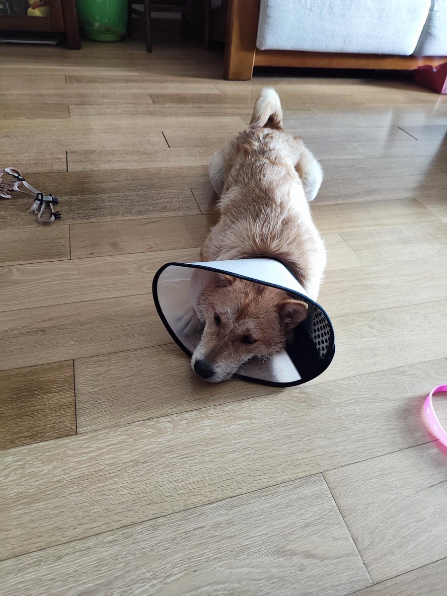 Tom Bush tweet media