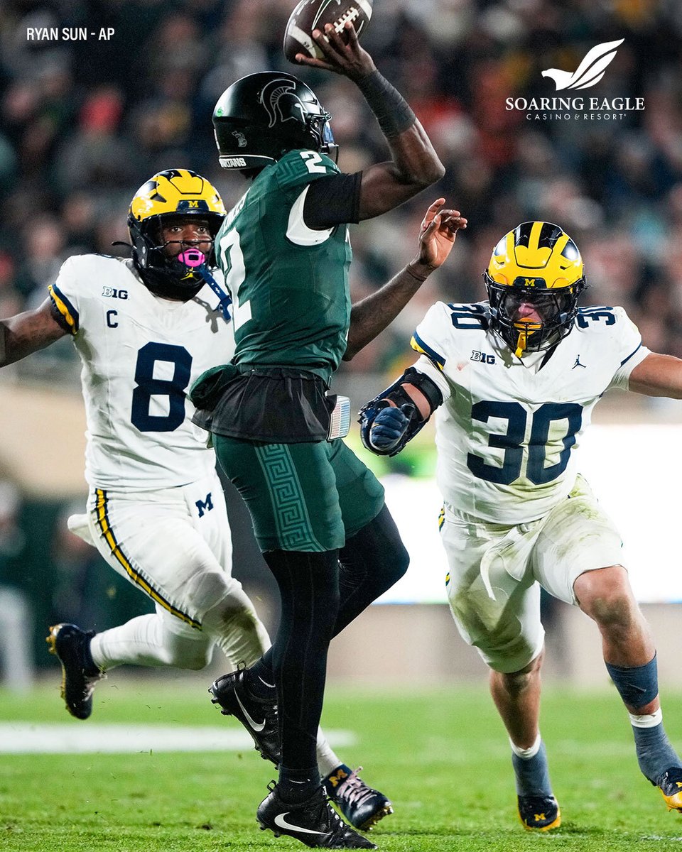 Detroit Lions tweet media