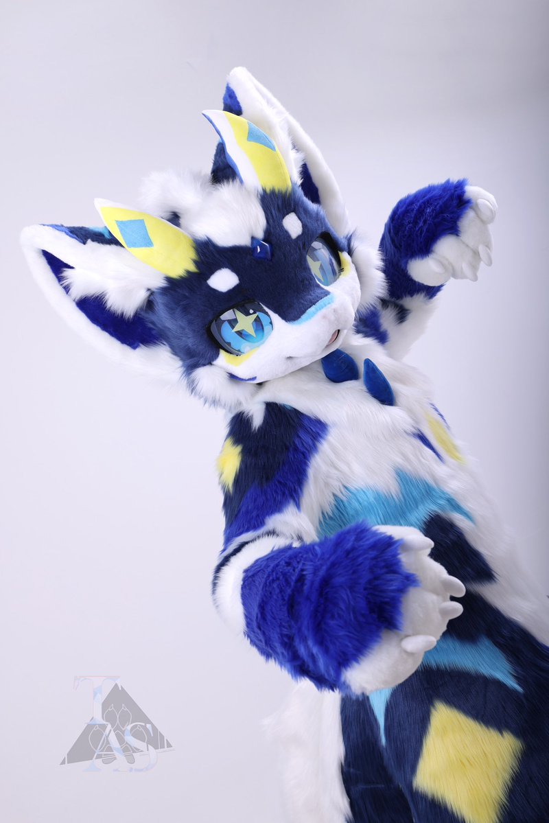 TAS兽化工作室 tweet media