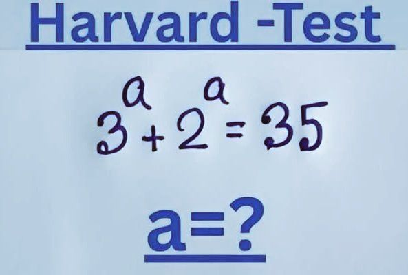 Math Hub tweet media