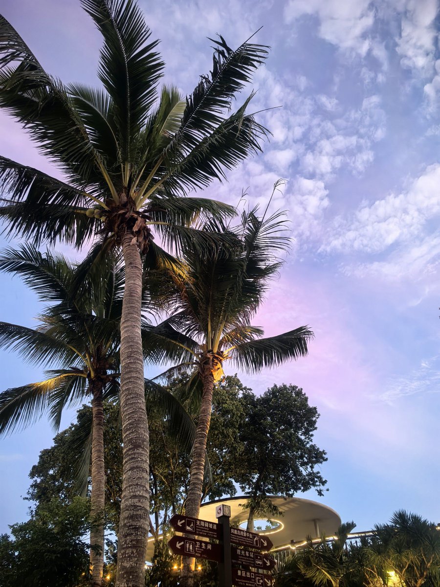 DBerruecos10176's tweet image. "Miss you more than words can say—even miles apart, our hearts stay connected.  #LongDistanceLove #HeartToHeart"