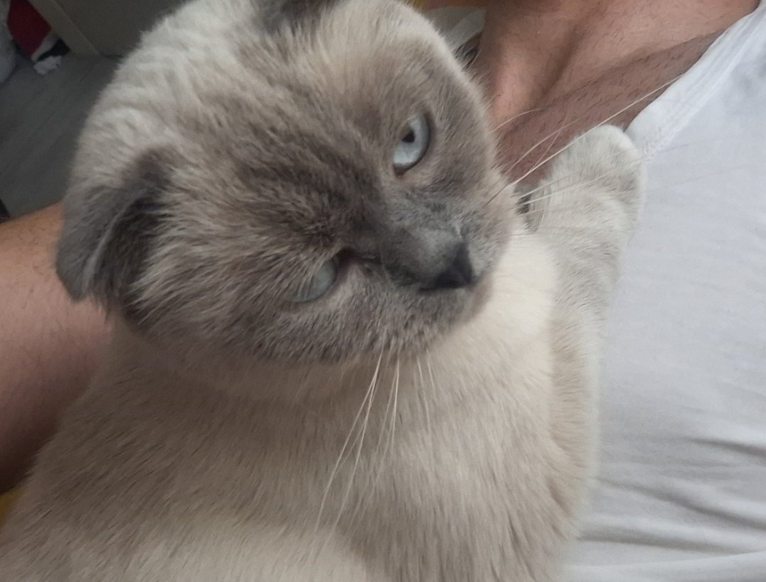 💮Hakan.❄️.Ryusei💮 tweet media