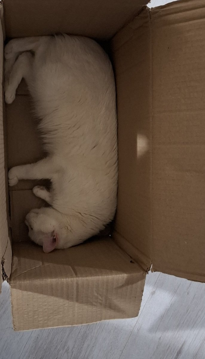 💮Hakan.❄️.Ryusei💮 tweet media