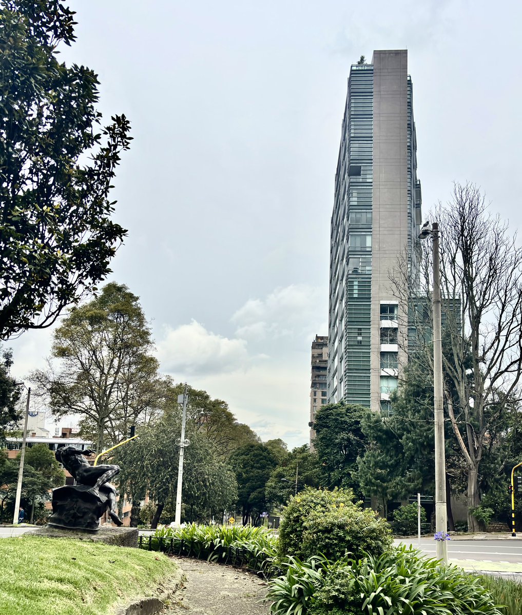 Daniela S. tweet media