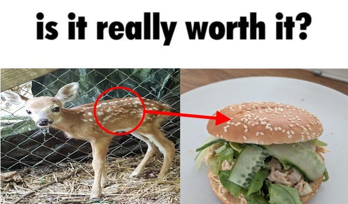 Deerposts tweet media