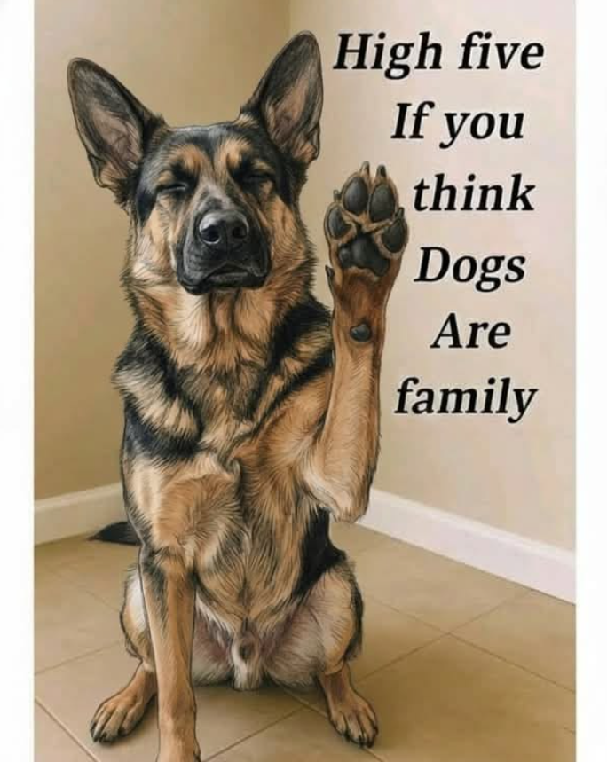 Tweets of Dogs tweet media
