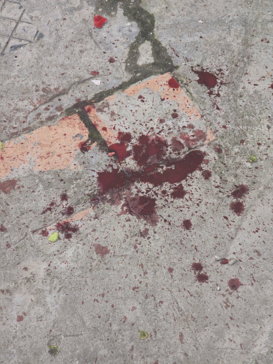 Промінчик світла🇺🇦 tweet media