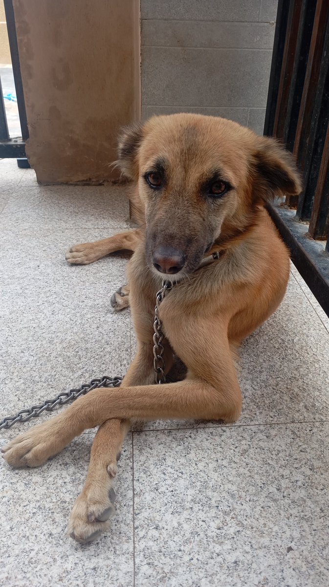 SAMMY🦁 tweet media