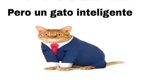 O1E.🇺🇾 tweet media