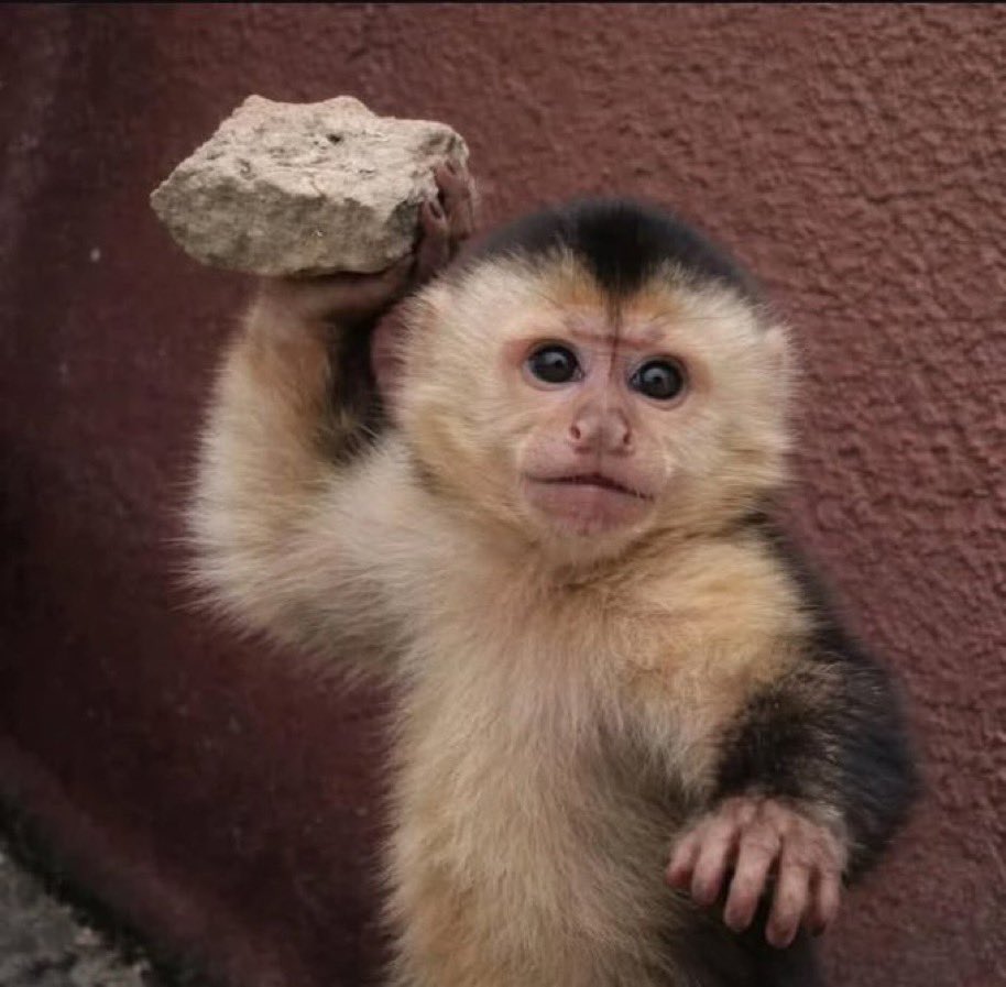 Nenens노시냐 ⦿ ☰ ☲ tweet media