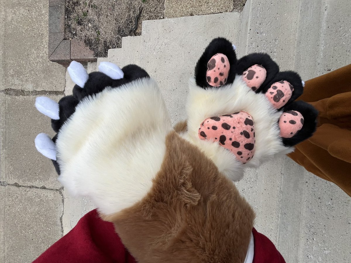 ⭐️Zero Dancing @ FWA⭐️ tweet media