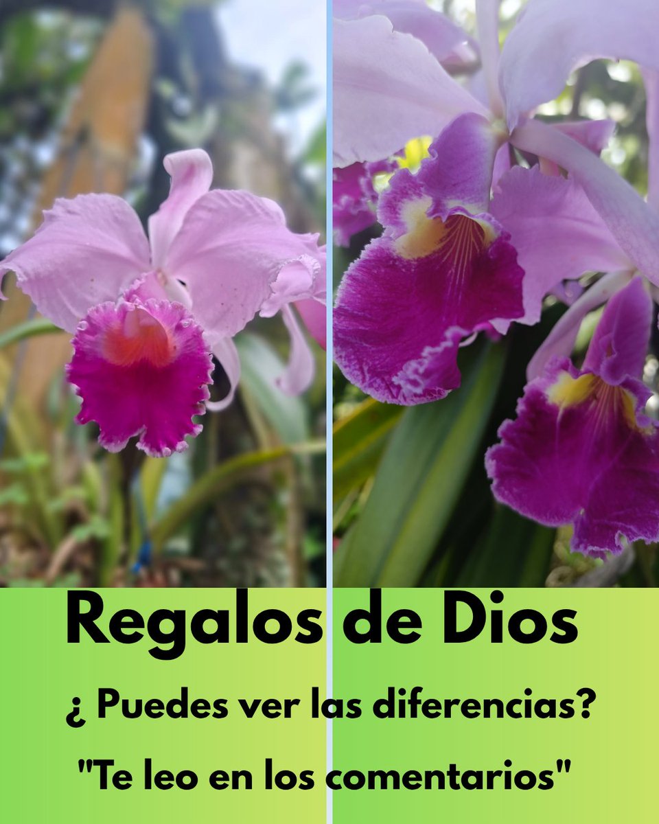 RuthVelasquezP1's tweet image. #PrimeroDios  
Te comparto una muestra del gran amor de Dios por ti y por mi